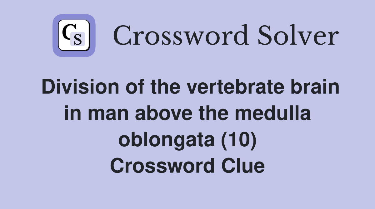 Division of the vertebrate brain in man above the medulla oblongata (10) Crossword Clue