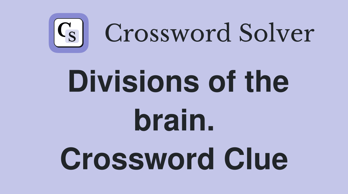 Divisions of the brain. Crossword Clue