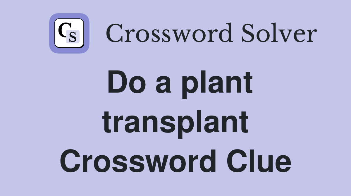 Do a plant transplant Crossword Clue