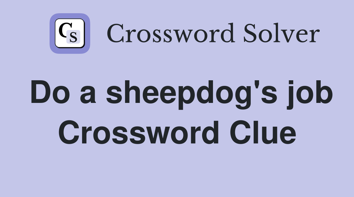 Do a sheepdog's job Crossword Clue