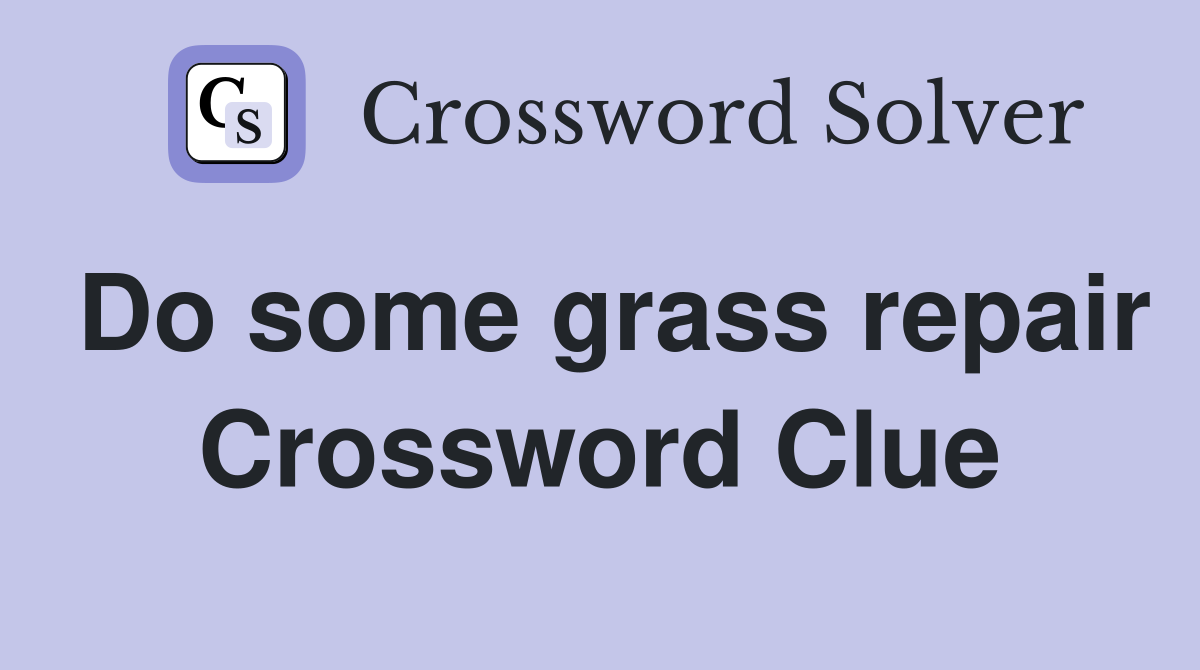 Do some grass repair Crossword Clue