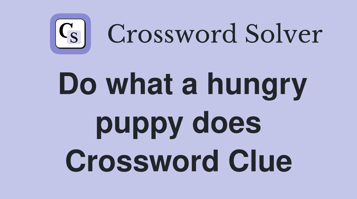 Do what a hungry puppy does Crossword Clue