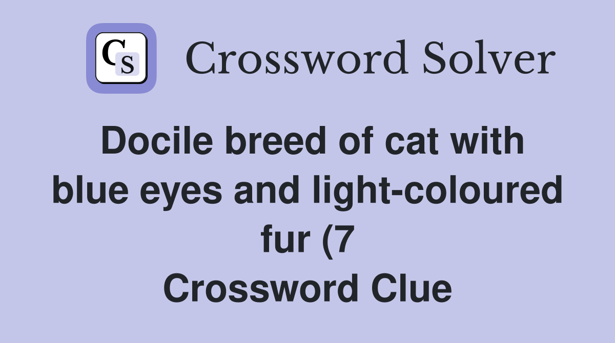 Docile breed of cat with blue eyes and light coloured fur (7 Docile breed of cat with blue eyes and light coloured fur (7
