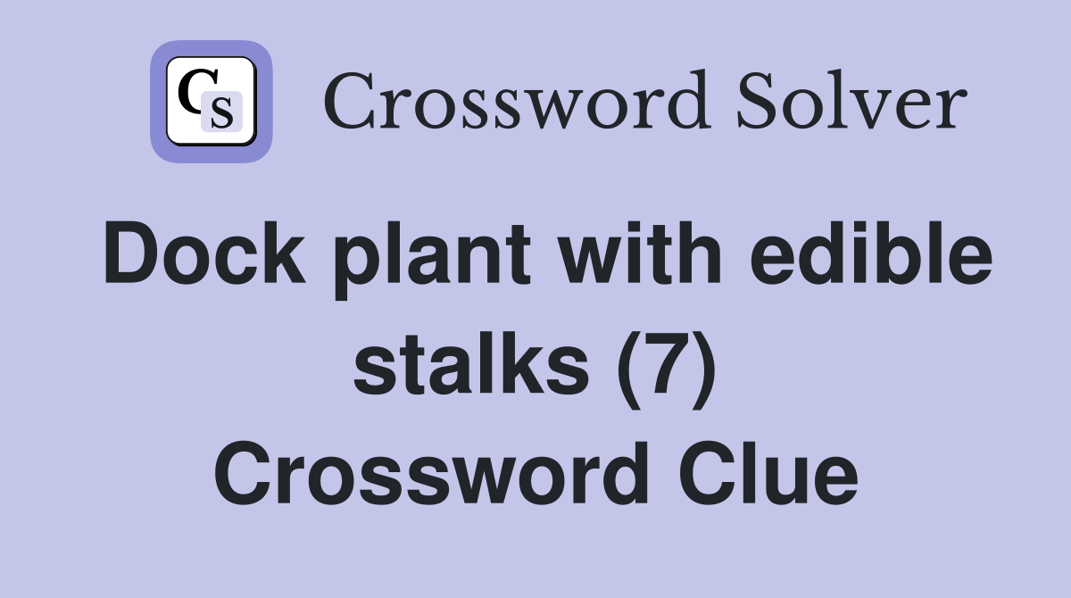 Dock plant with edible stalks (7) Crossword Clue