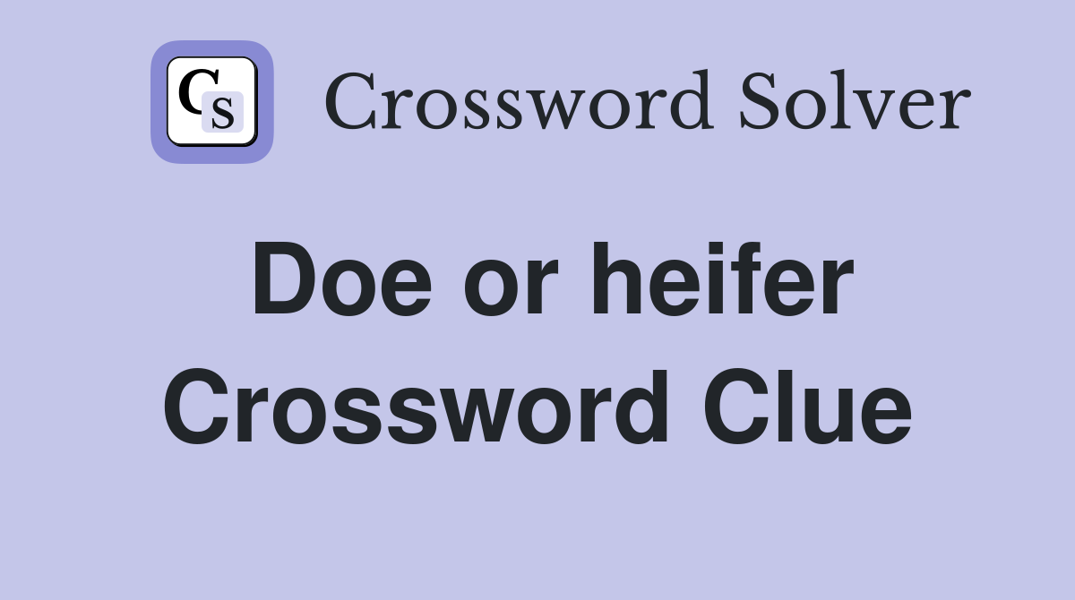 Doe or heifer Crossword Clue