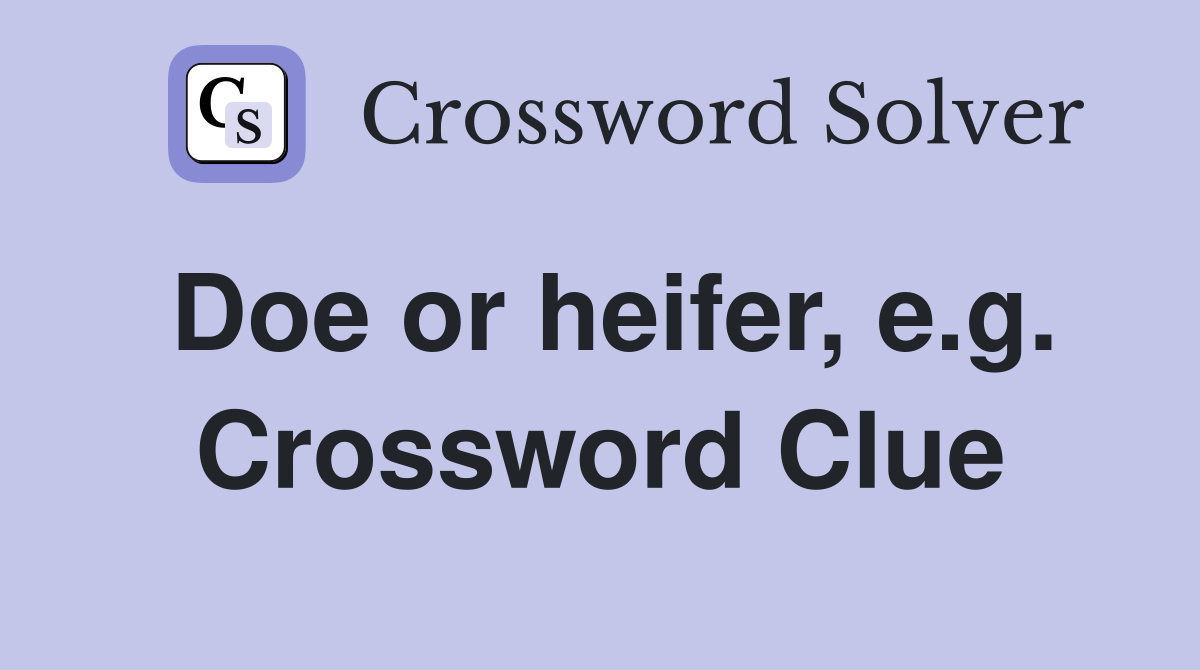 Doe or heifer, e.g. Crossword Clue