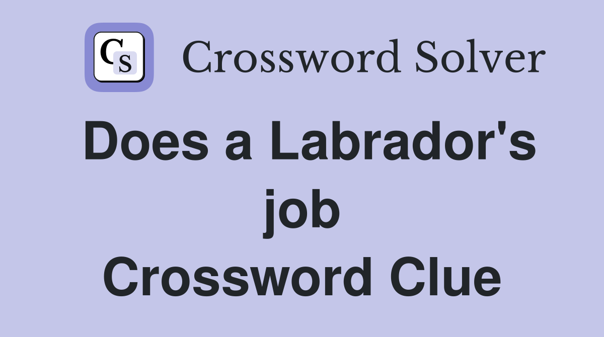 Does a Labrador's job Crossword Clue