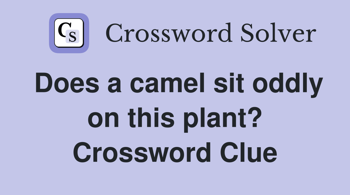 Does a camel sit oddly on this plant? Crossword Clue