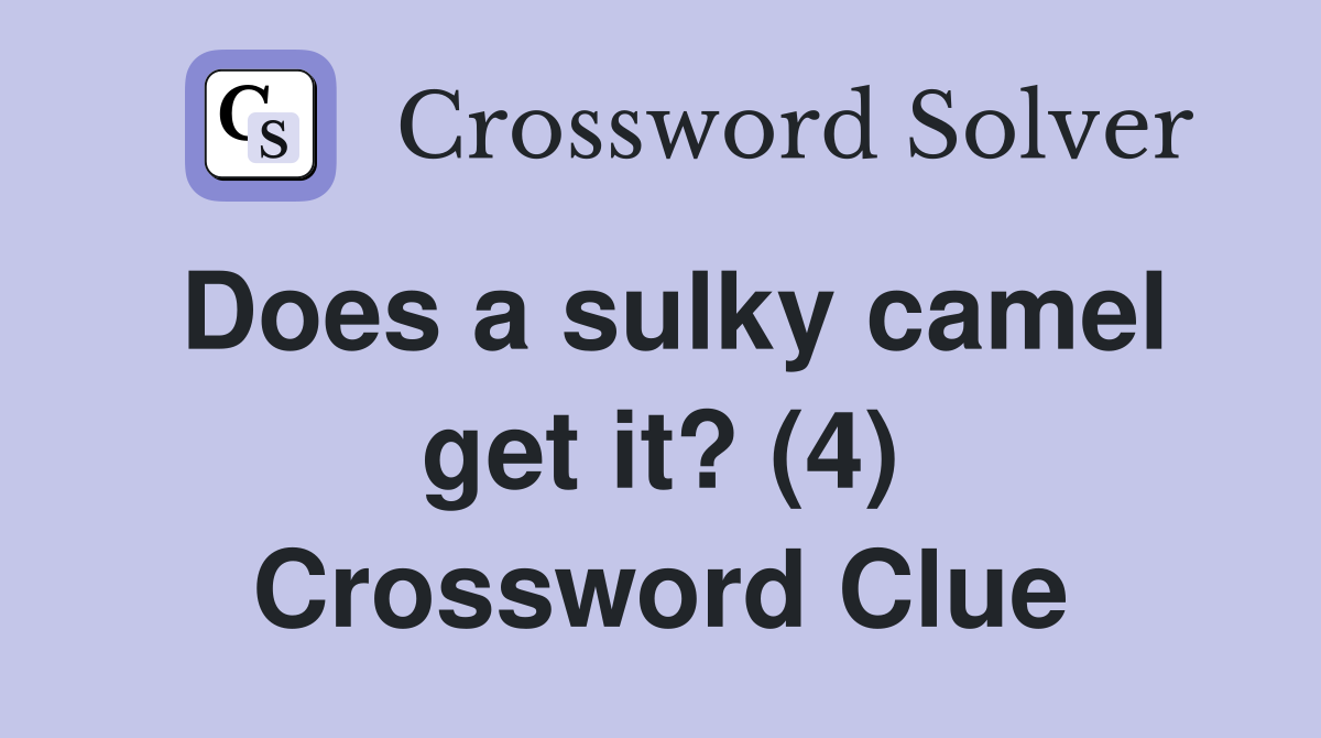 Does a sulky camel get it? (4) Crossword Clue