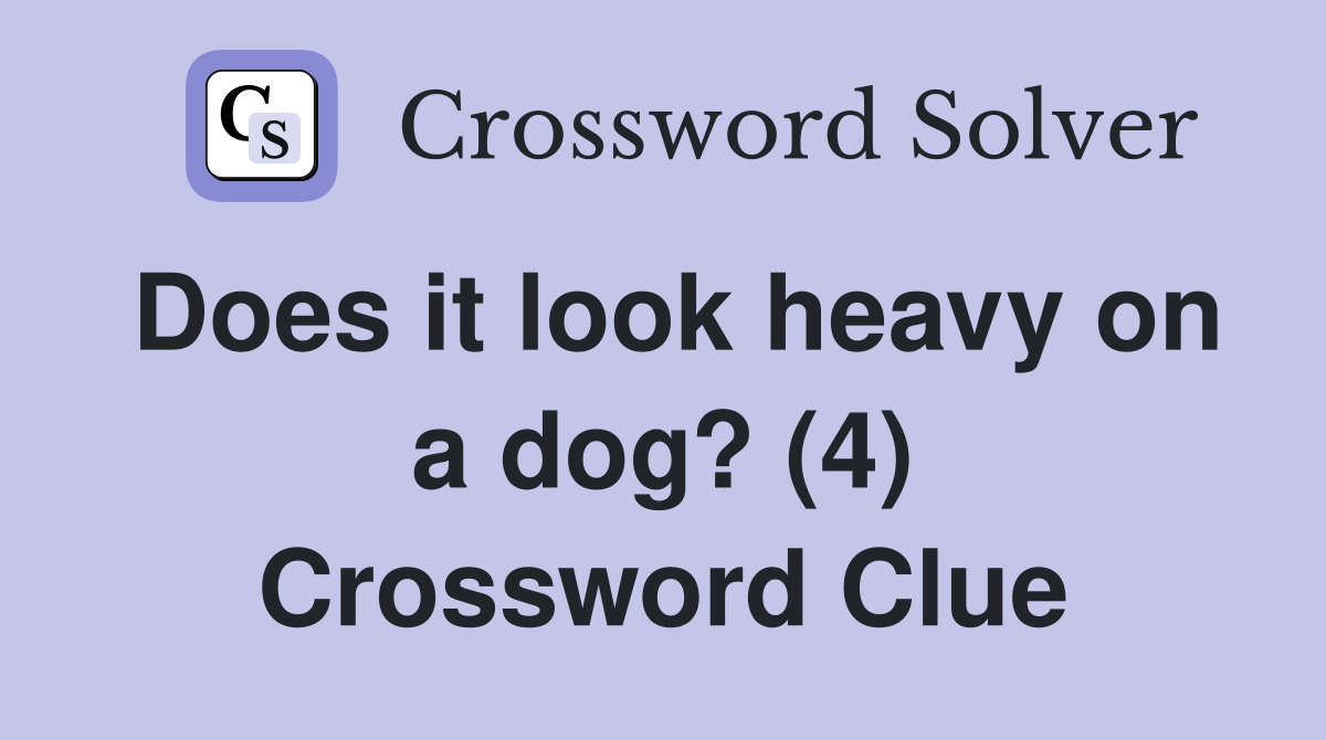 Does it look heavy on a dog? (4) Crossword Clue