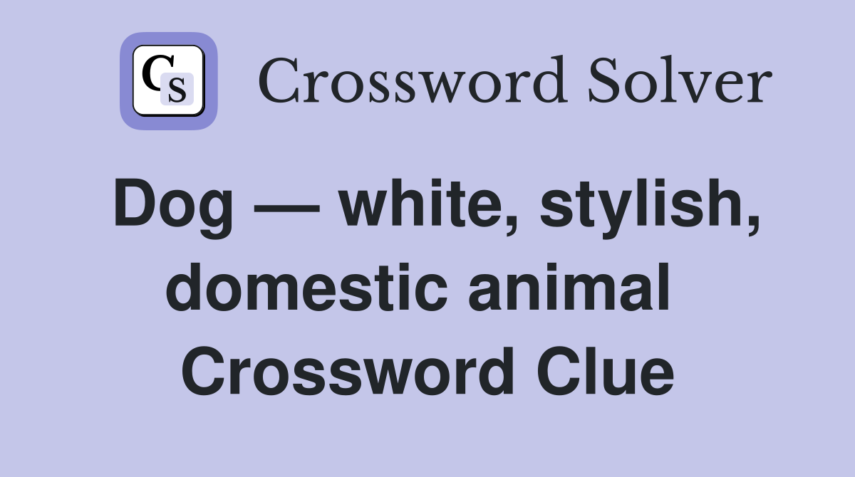 Dog — white, stylish, domestic animal  Crossword Clue