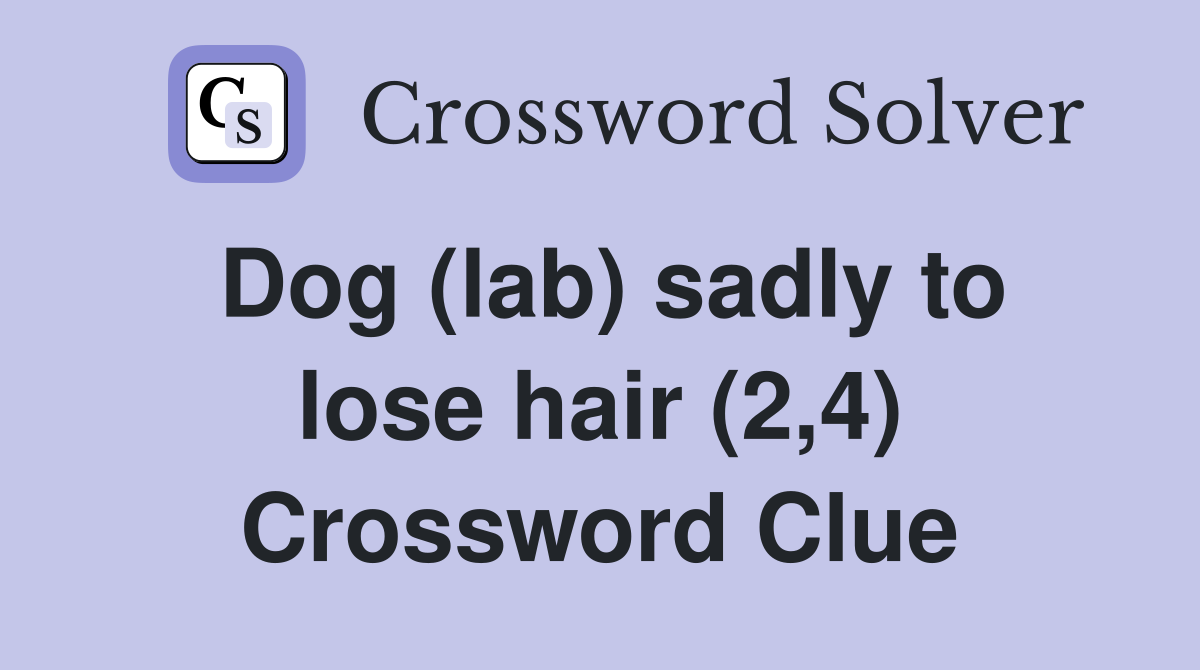 Dog (lab) sadly to lose hair (2,4) Crossword Clue