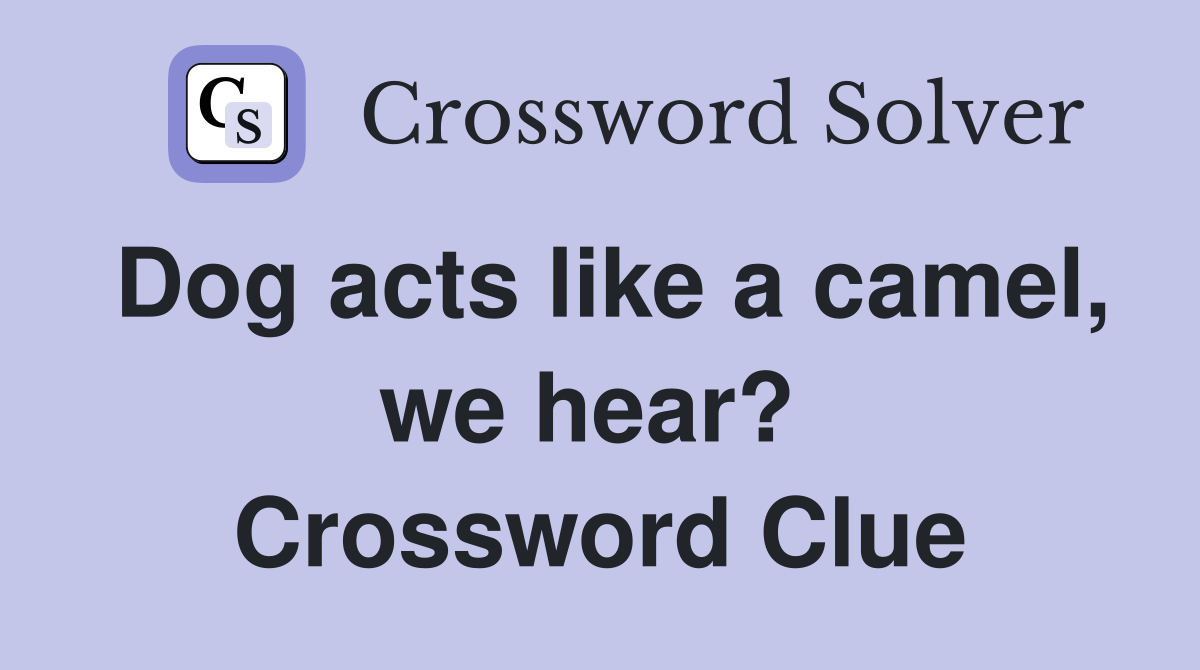 Dog acts like a camel, we hear?  Crossword Clue