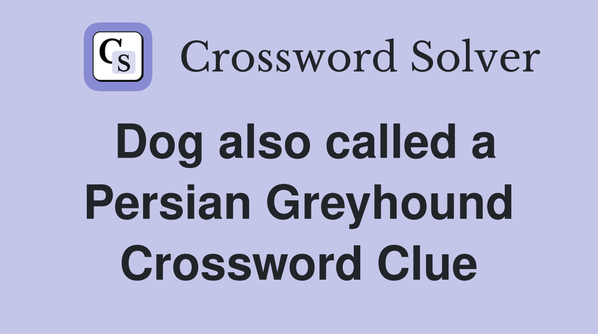 Dog also called a Persian Greyhound Crossword Clue