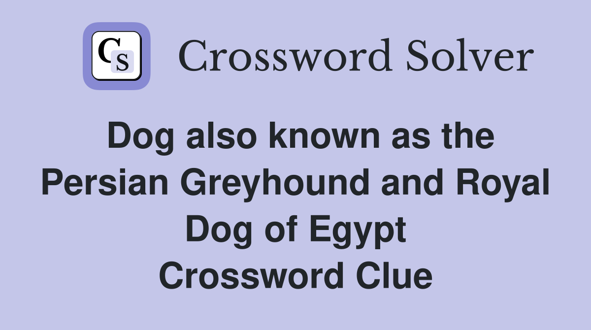 Dog also known as the Persian Greyhound and Royal Dog of Egypt Crossword Clue