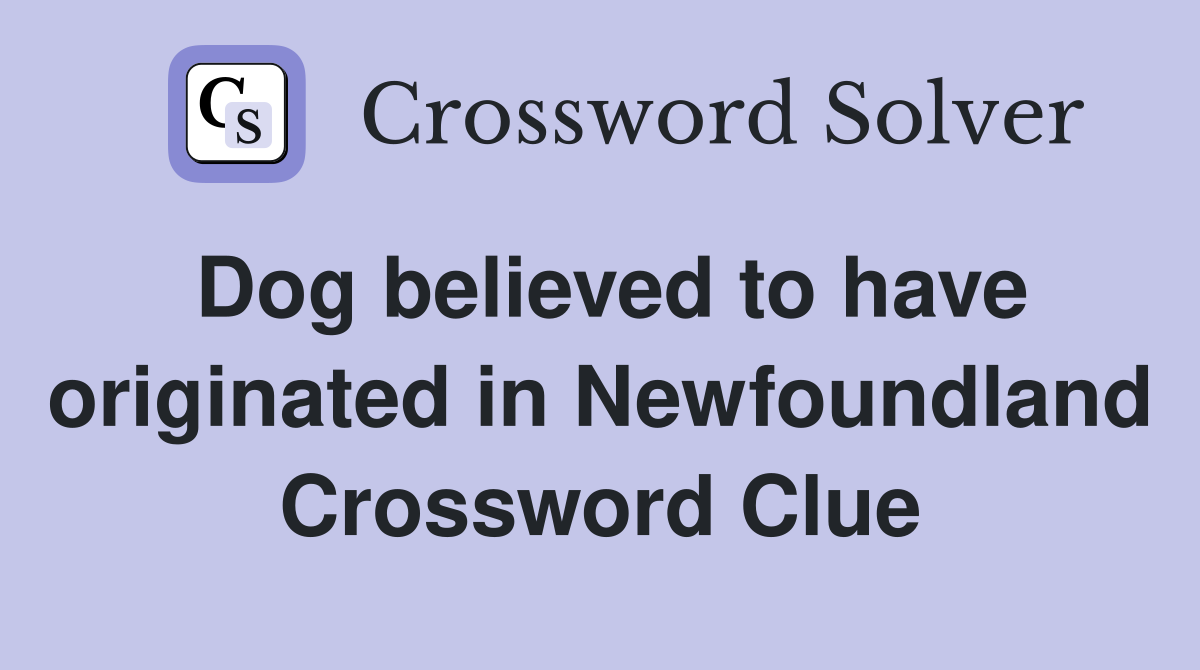 Dog believed to have originated in Newfoundland Crossword Clue
