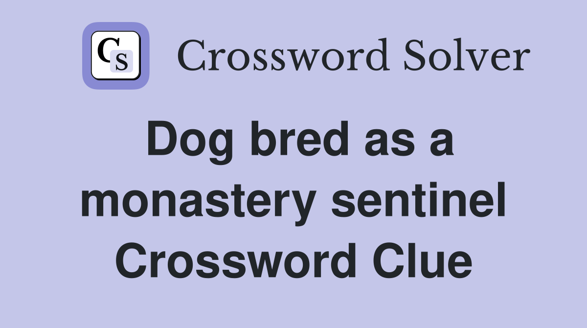 Dog bred as a monastery sentinel Crossword Clue