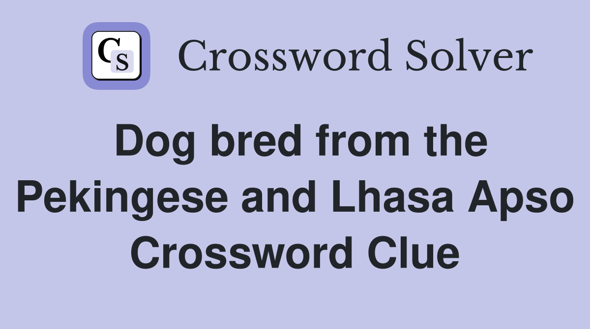 Dog bred from the Pekingese and Lhasa Apso Crossword Clue