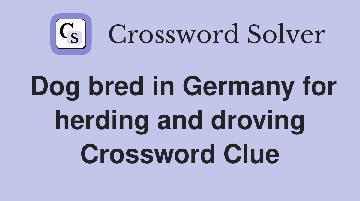 Dog bred in Germany for herding and droving Crossword Clue
