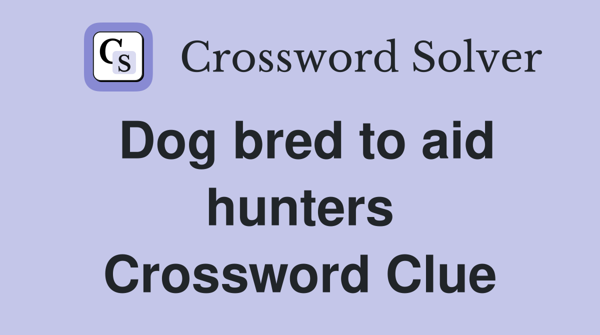 Dog bred to aid hunters Crossword Clue