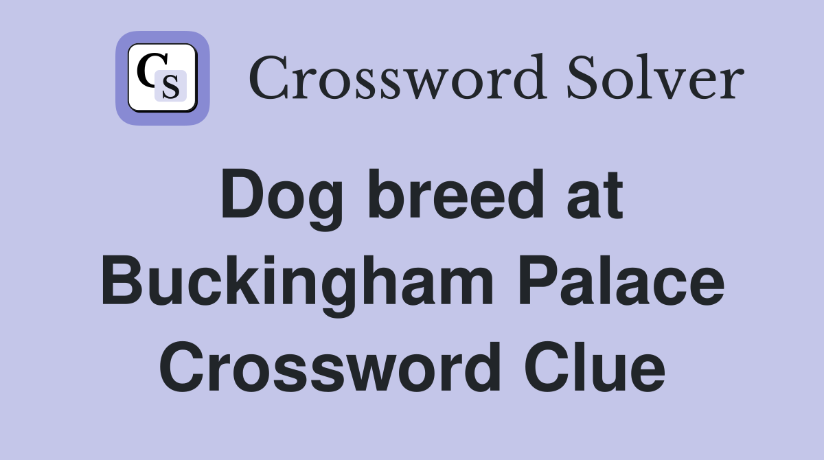 Dog breed at Buckingham Palace Crossword Clue