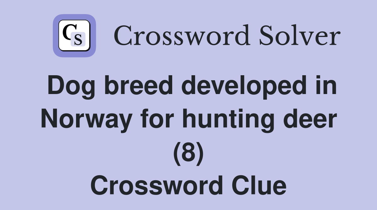 Dog breed developed in Norway for hunting deer (8) Crossword Clue
