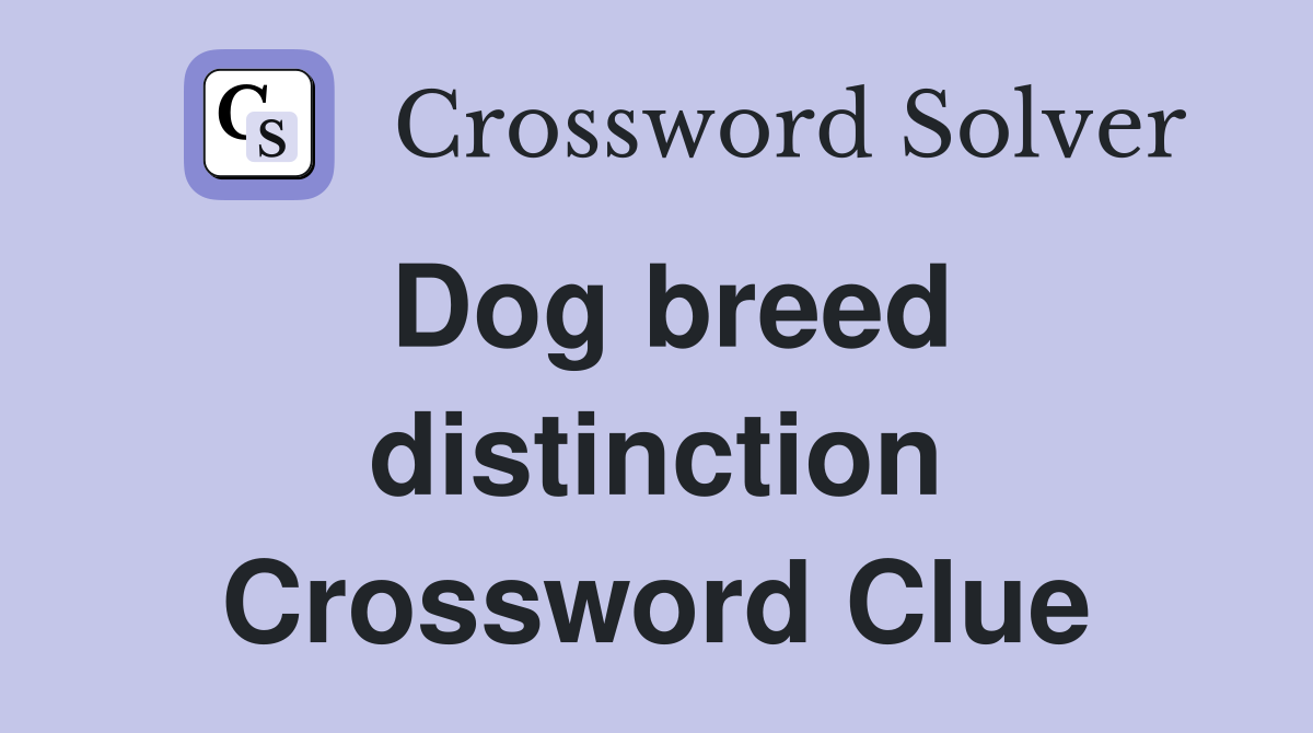 Dog breed distinction Crossword Clue