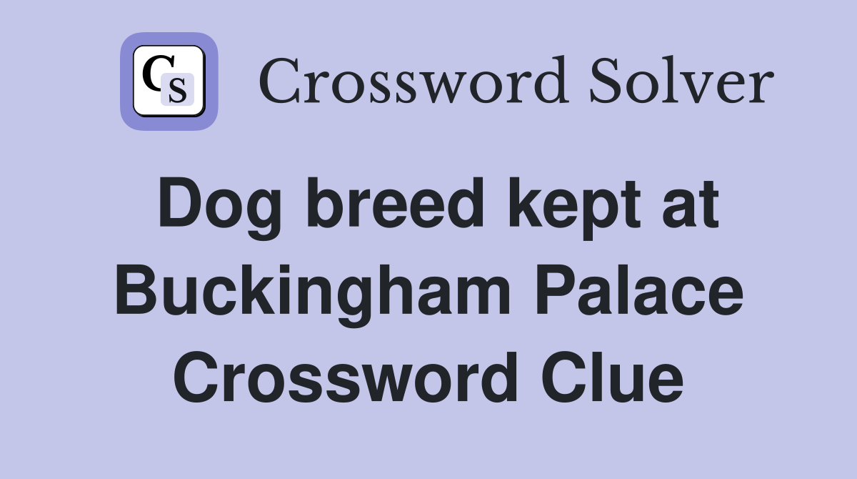 Dog breed kept at Buckingham Palace Crossword Clue