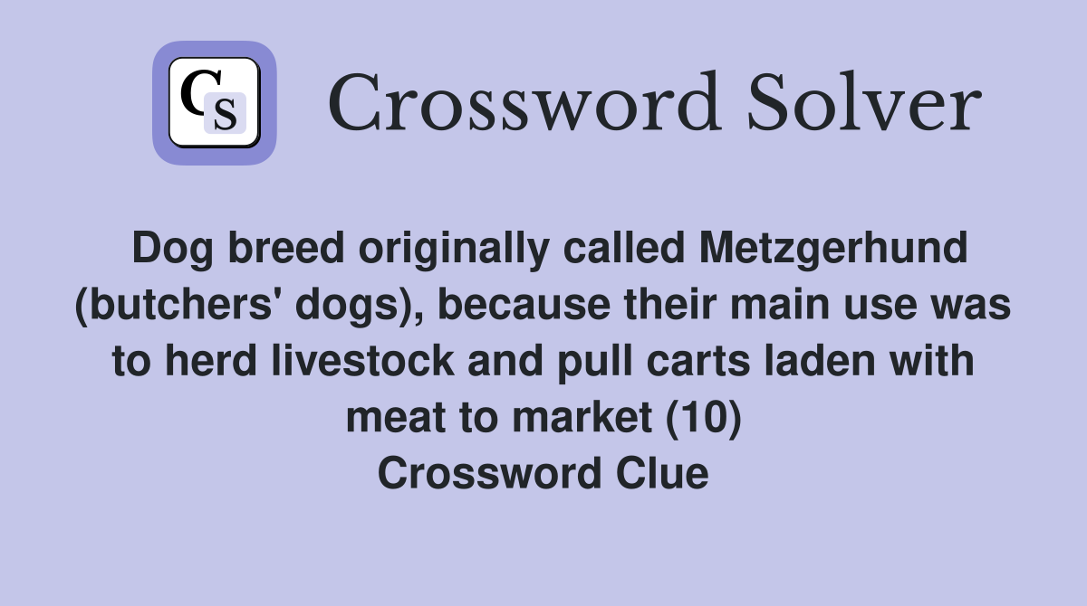 Dog breed originally called Metzgerhund (butchers' dogs), because their main use was to herd livestock and pull carts laden with meat to market (10) Crossword Clue