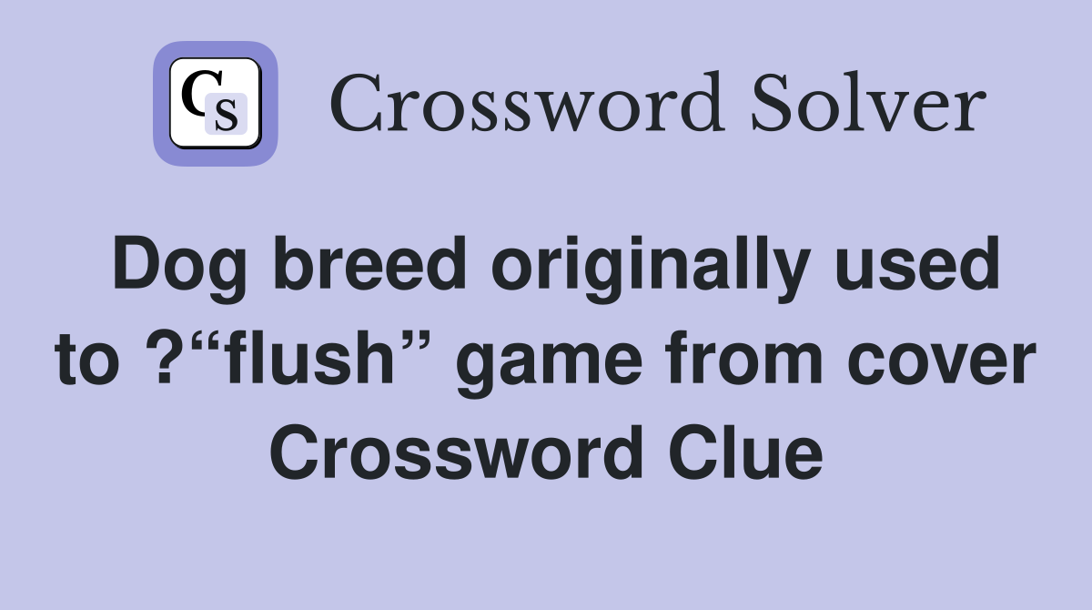 Dog breed originally used to ?“flush” game from cover Crossword Clue