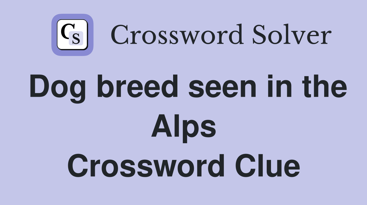 Dog breed seen in the Alps Crossword Clue