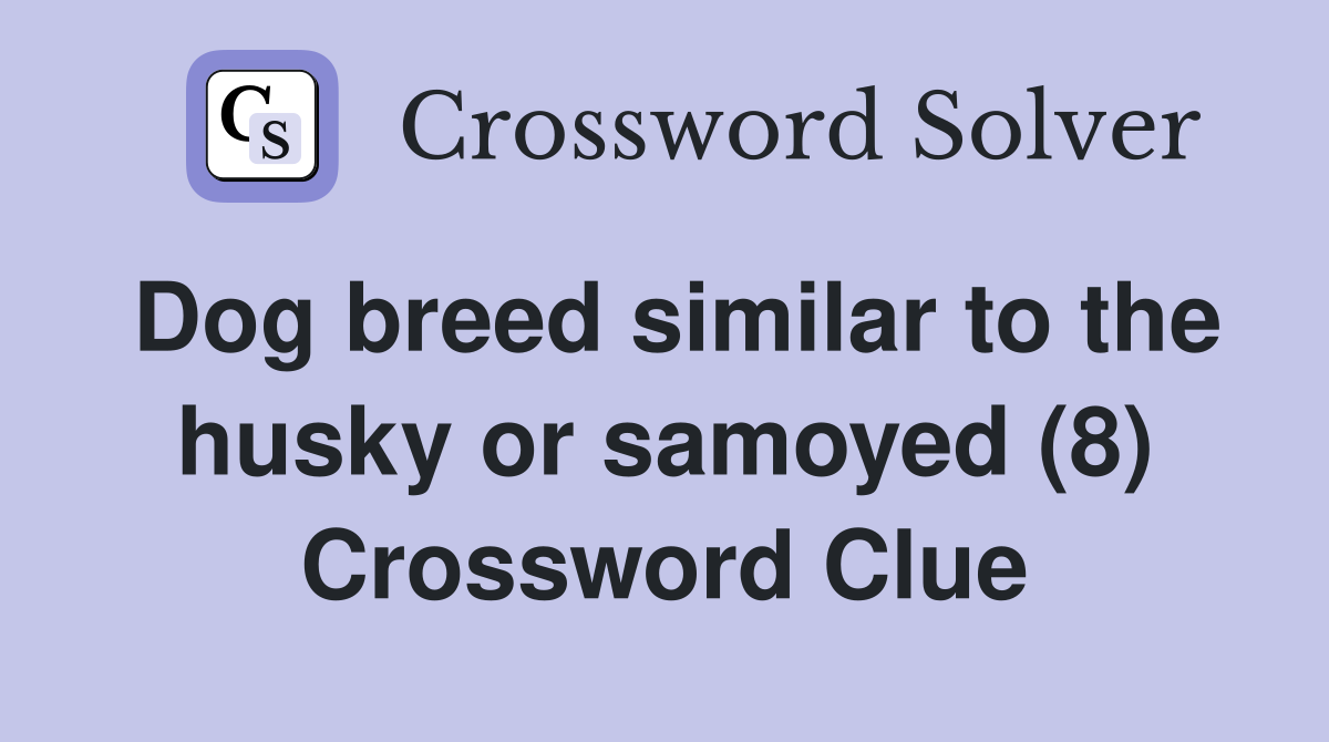 Dog breed similar to the husky or samoyed (8) Crossword Clue