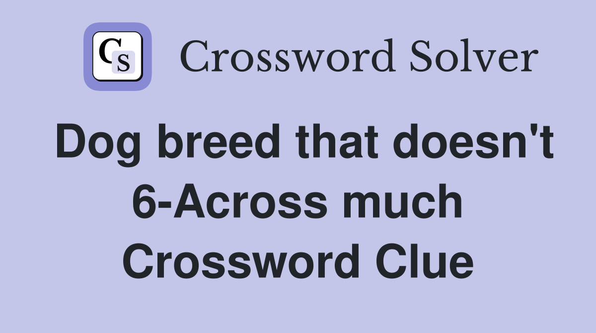 Dog breed that doesn't 6-Across much Crossword Clue