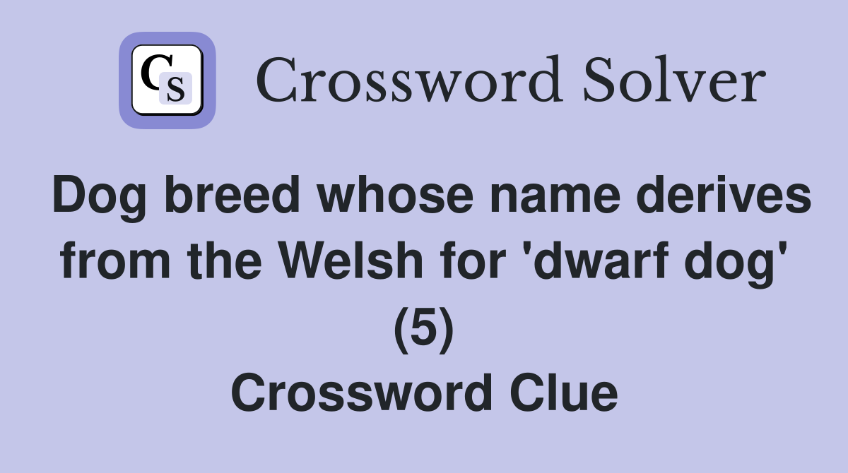 Dog breed whose name derives from the Welsh for 'dwarf dog' (5) Crossword Clue
