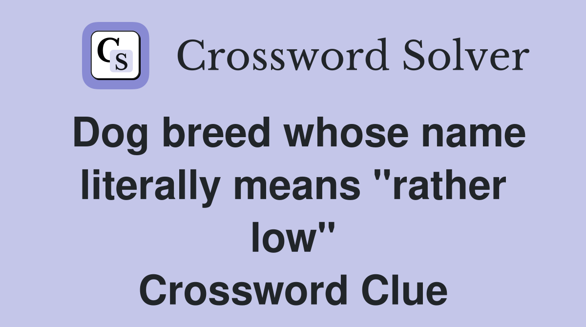 Dog breed whose name literally means "rather low" Crossword Clue