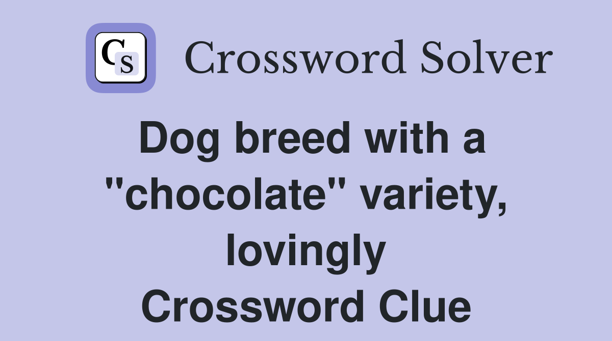 Dog breed with a "chocolate" variety, lovingly Crossword Clue
