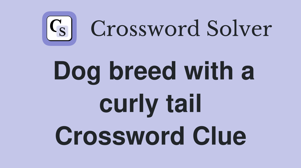 Dog breed with a curly tail Crossword Clue