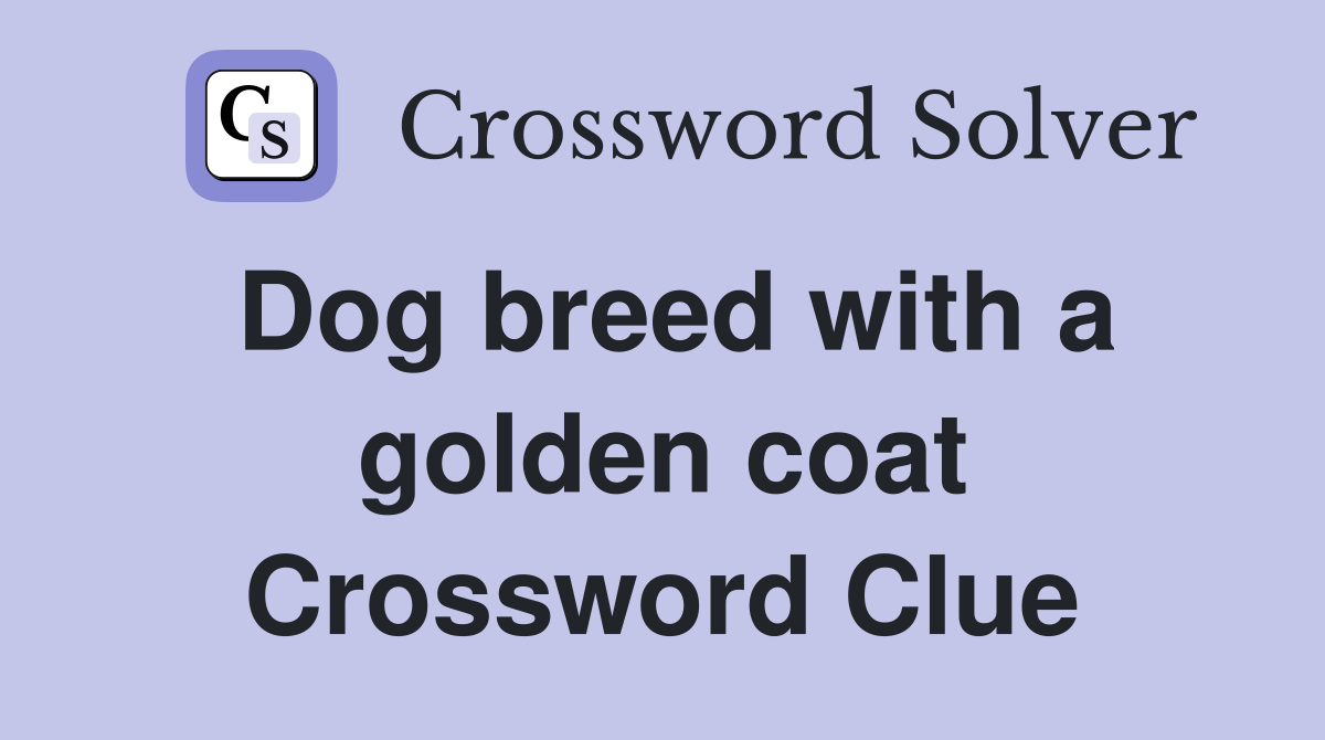 Dog breed with a golden coat Crossword Clue