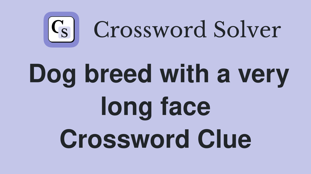 Dog breed with a very long face Crossword Clue