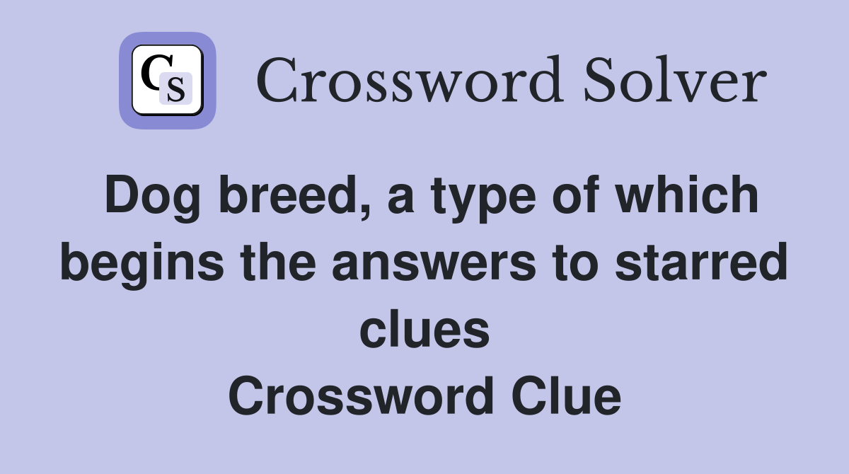 Dog breed, a type of which begins the answers to starred clues Crossword Clue