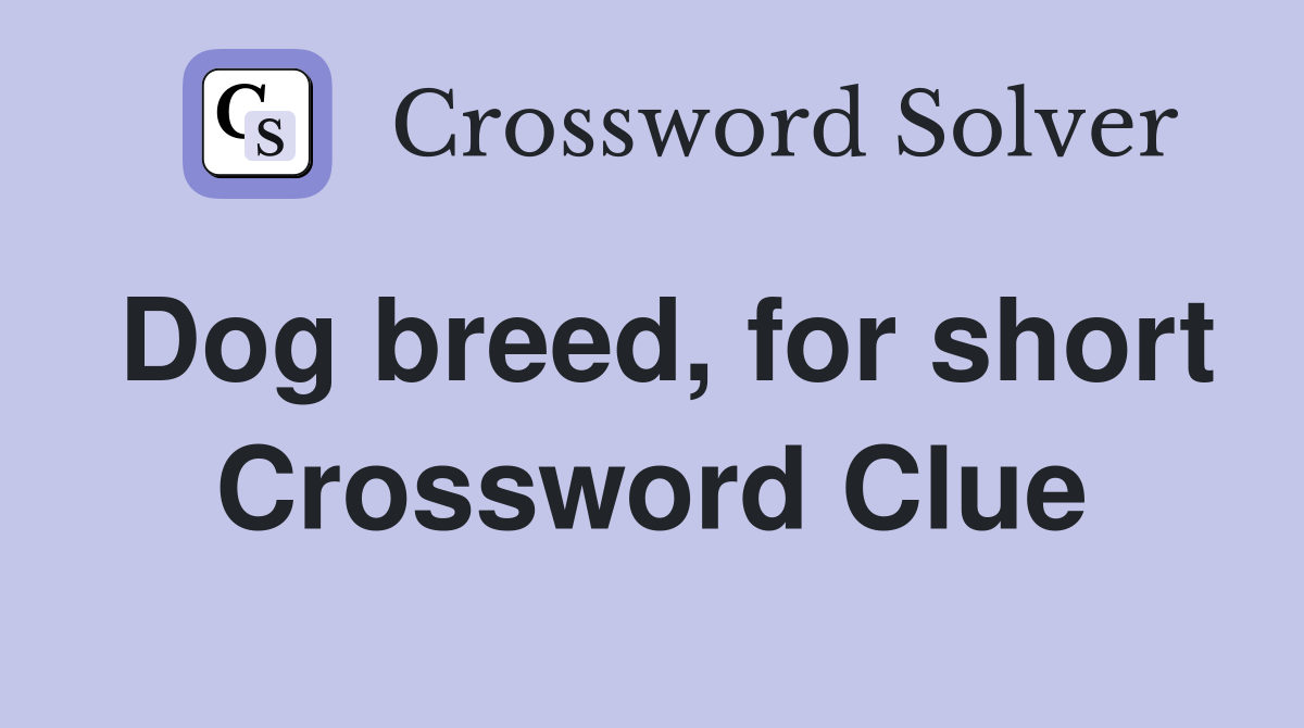Dog breed, for short Crossword Clue
