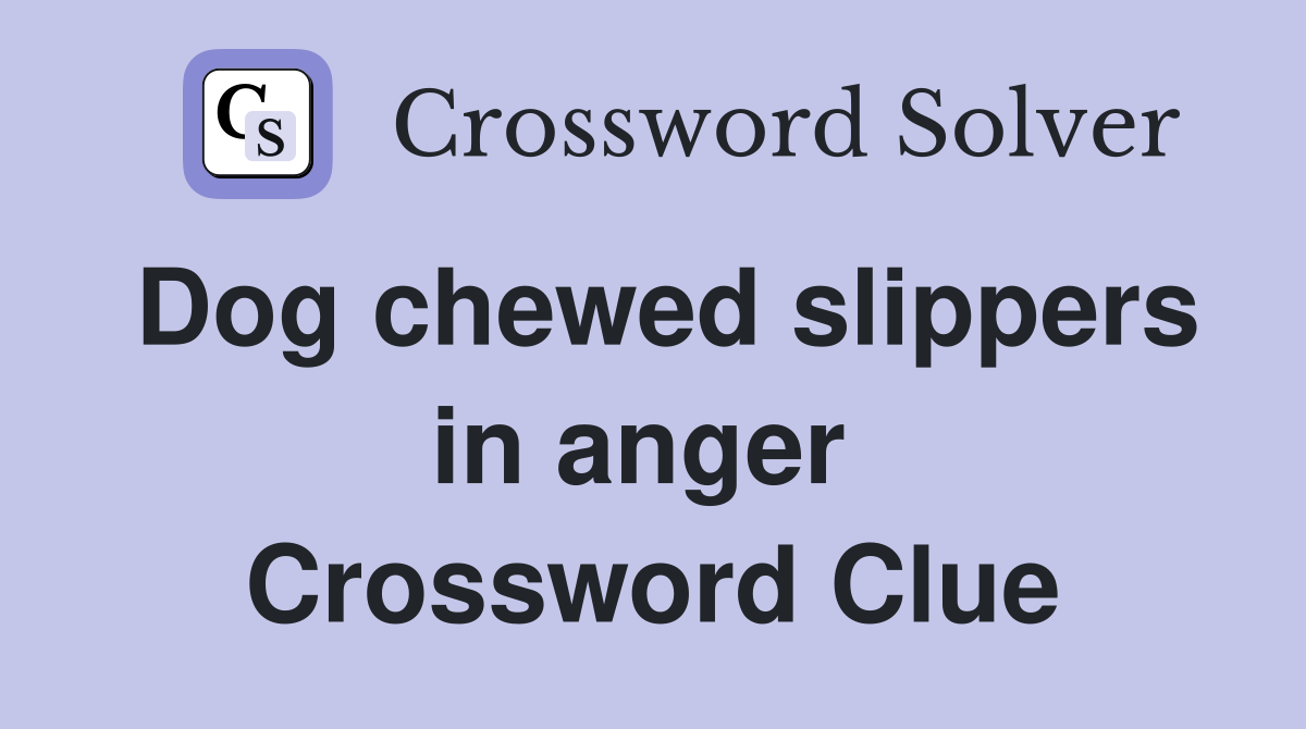 Dog chewed slippers in anger  Crossword Clue