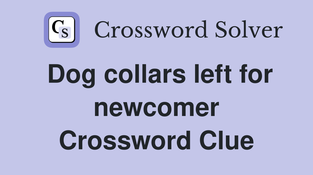 Dog collars left for newcomer Crossword Clue