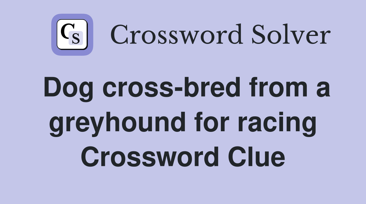 Dog cross-bred from a greyhound for racing Crossword Clue
