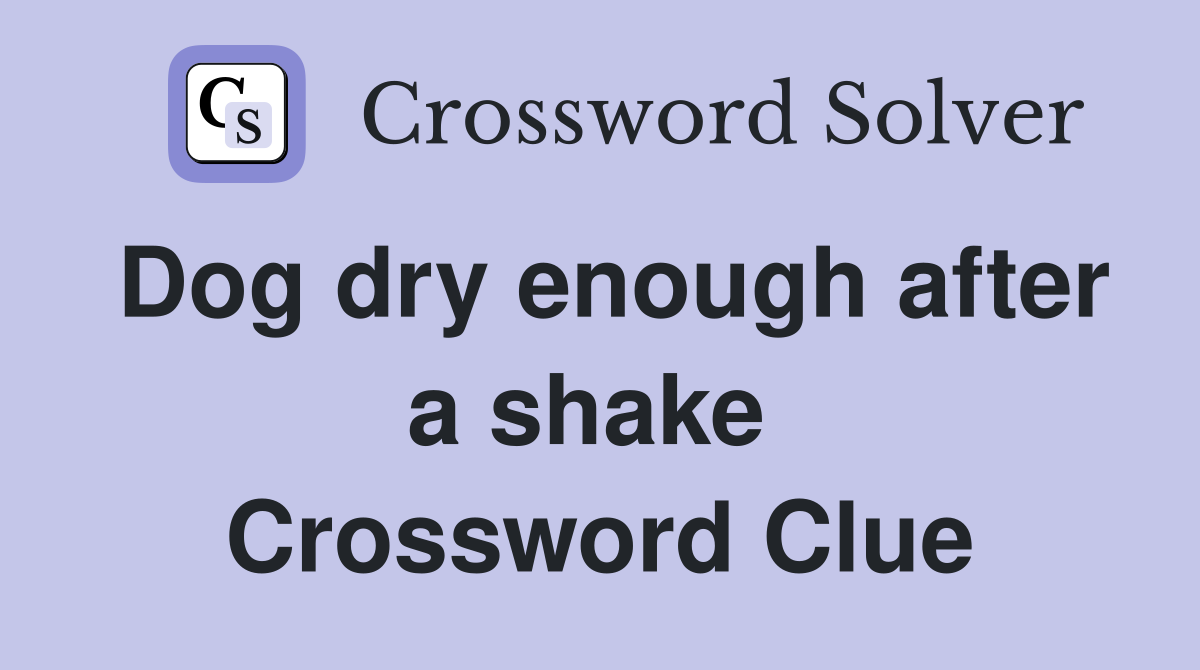 Dog dry enough after a shake  Crossword Clue