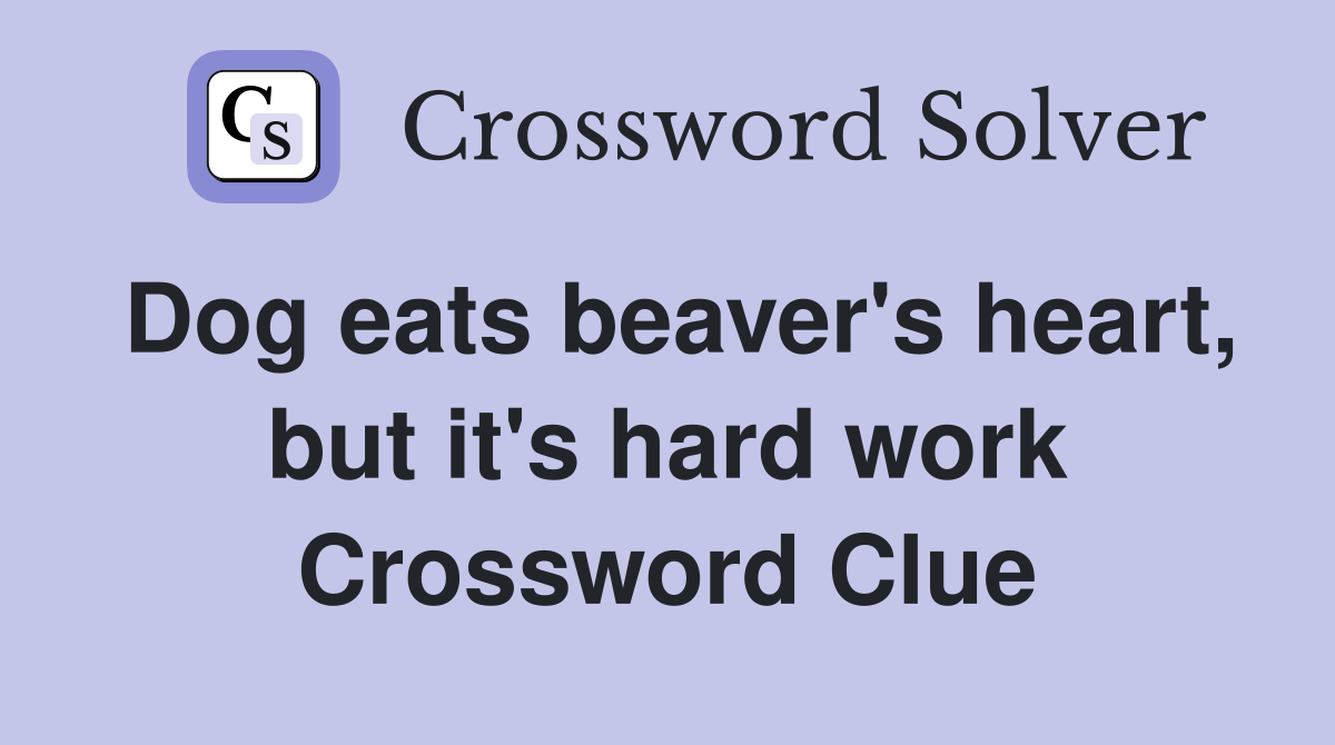 Dog eats beaver's heart, but it's hard work Crossword Clue