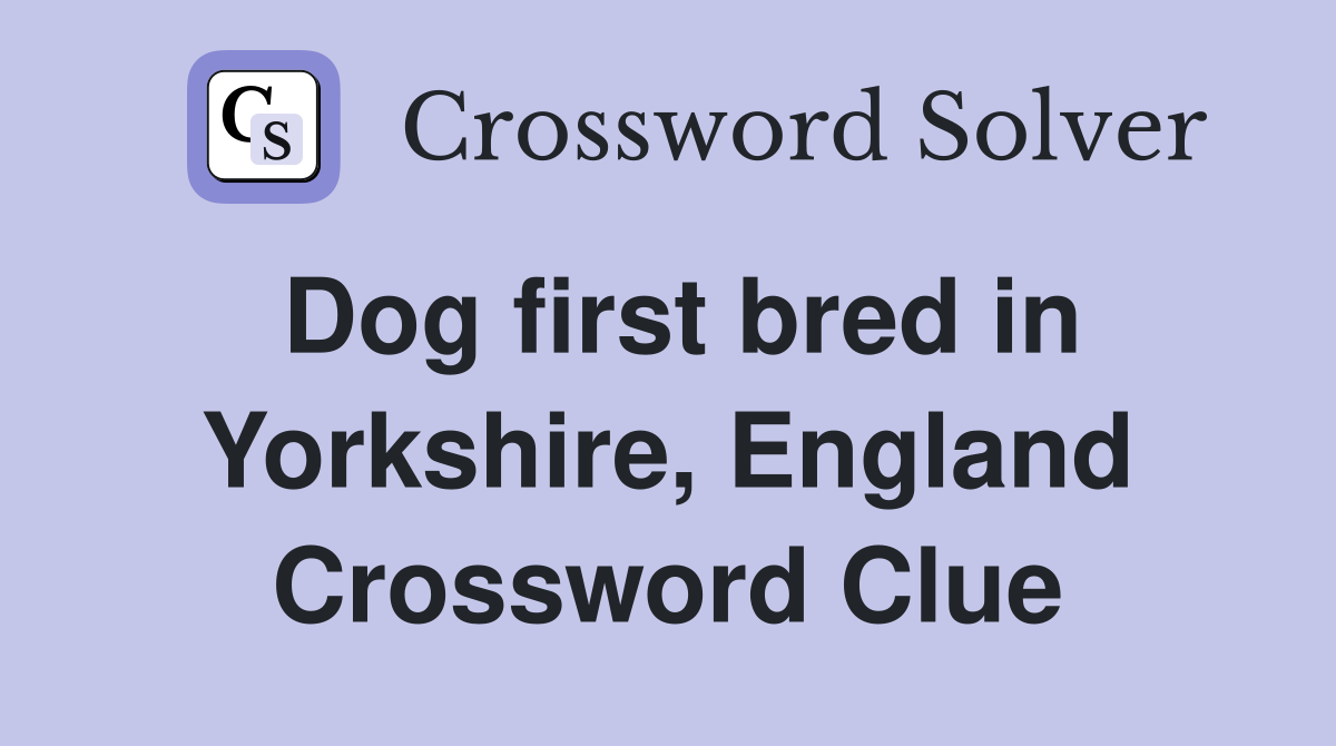 Dog first bred in Yorkshire, England Crossword Clue