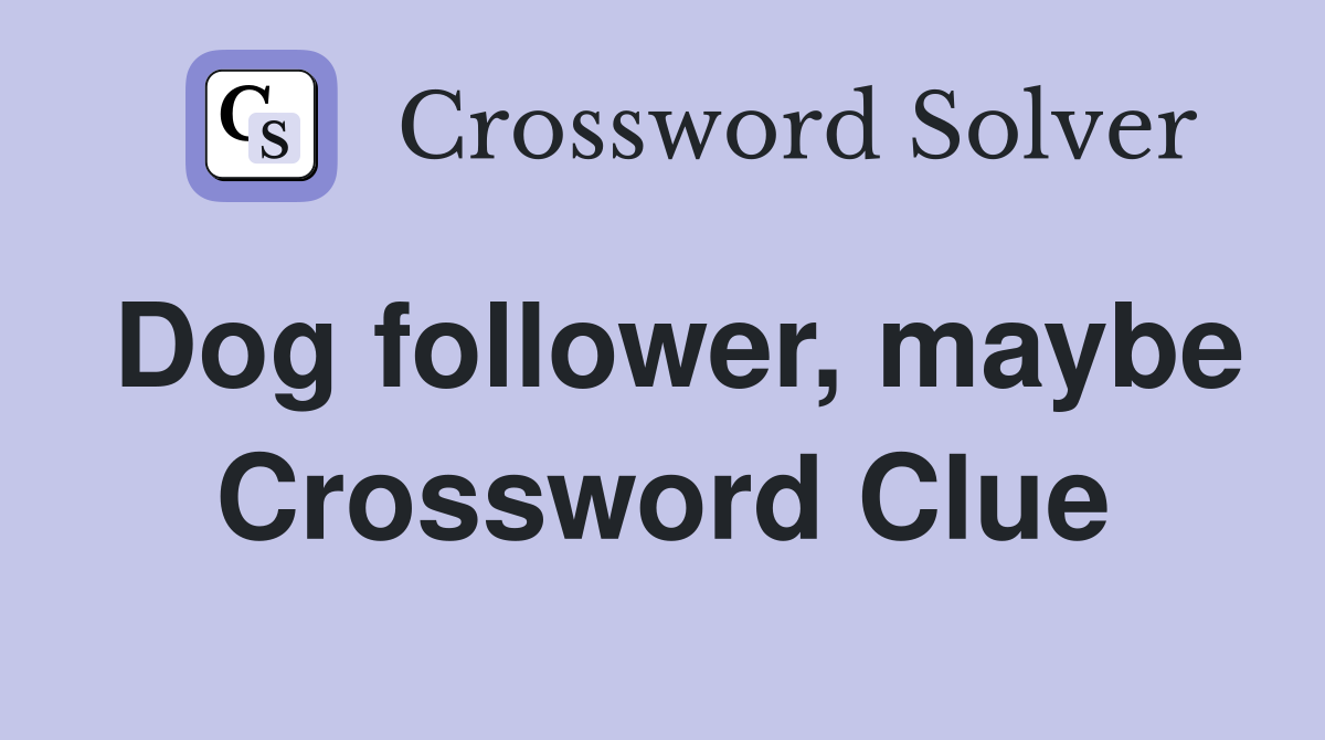 Dog follower, maybe Crossword Clue