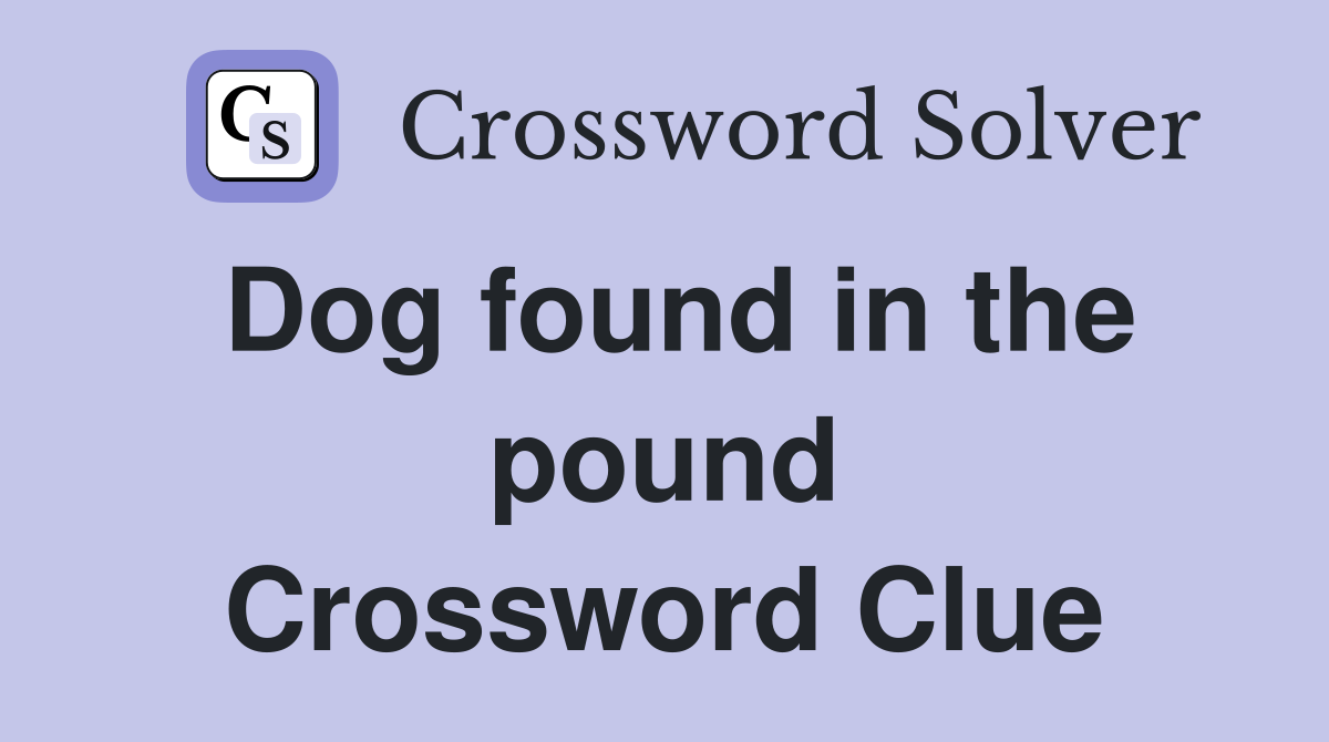 Dog found in the pound Crossword Clue