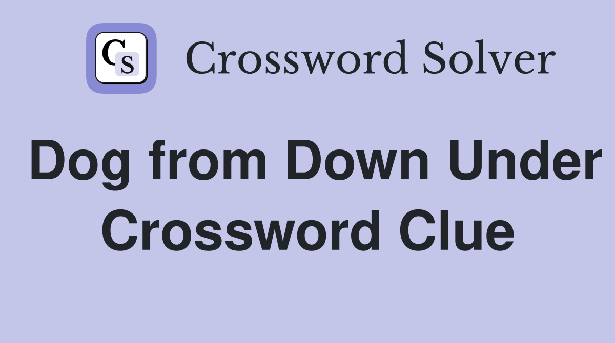 Dog from Down Under Crossword Clue